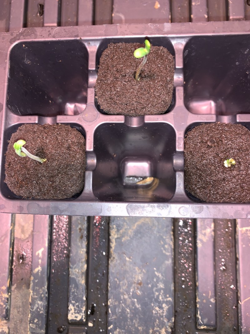 2C0B56AA-E74F-4626-9BAA-CD3719B706F4