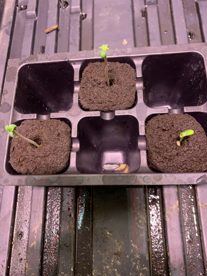 BC6CF929-0293-4669-A9F5-89B925E6A6EA