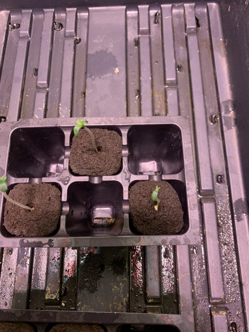 853D6450-E471-4933-9567-9ADE55443CA9