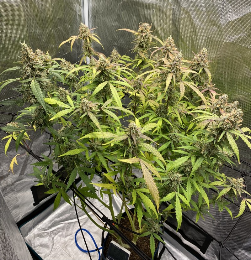 1CC3BD67-6135-42FF-A2AC-BF7FC6641254