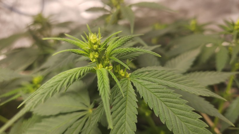 1663507864654944227315840797776