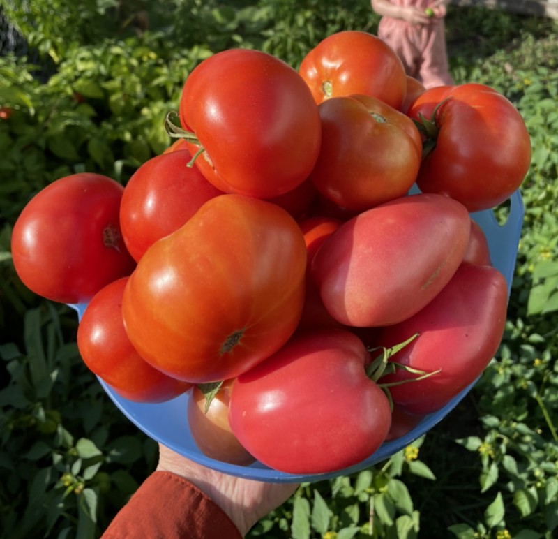 686843D5-D234-43AD-A83D-4997A8EA90B5