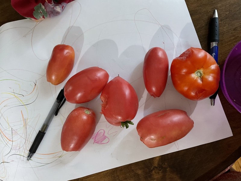 B9FB4A53-C730-404A-9C9B-638E8AC13841