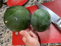 53597D61-2393-4C09-B08B-0F29B0080BF9