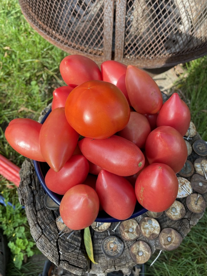 7D9F1CCD-C296-4111-A65D-76A5B34E512E