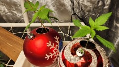 1663635053030261033135114402416