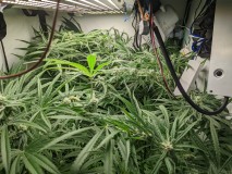 PXL_20220920_163235164