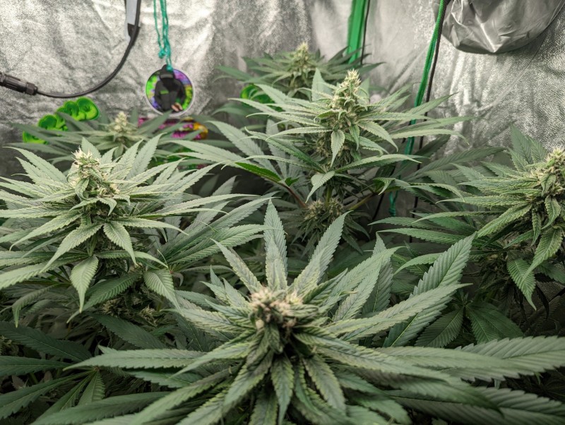 PXL_20220920_163444728