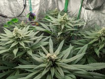 PXL_20220920_163444728