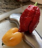 42C2122B-65E8-4FE5-8A89-DD07153D6037