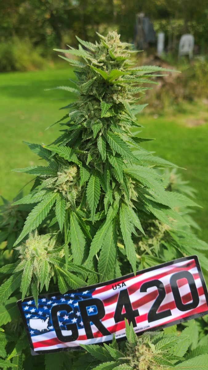 16637010977136043552806434882058