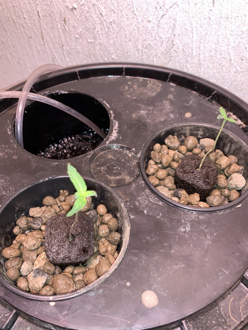 0A3CE636-2B4E-4CBA-AD72-7019F2A776FC