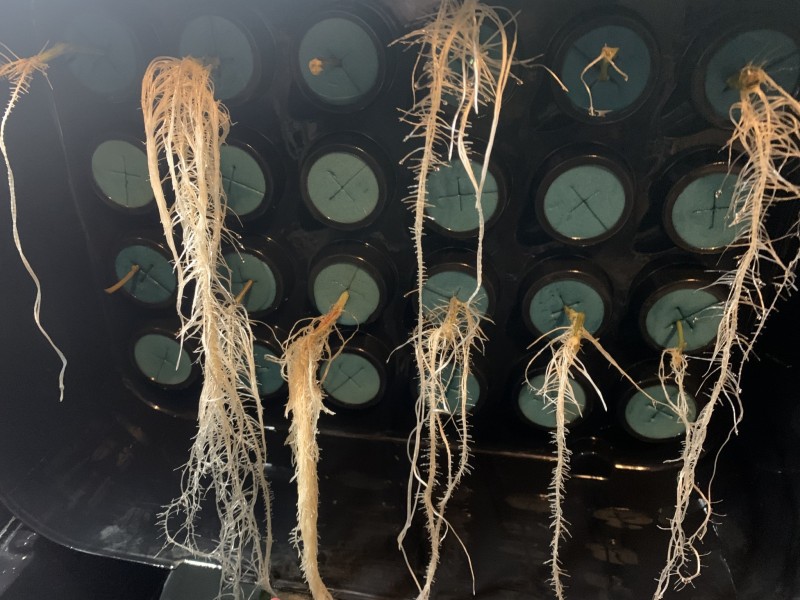 2B41604C-CFC8-4113-951B-0930BCCDCB7B