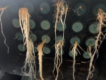 2B41604C-CFC8-4113-951B-0930BCCDCB7B