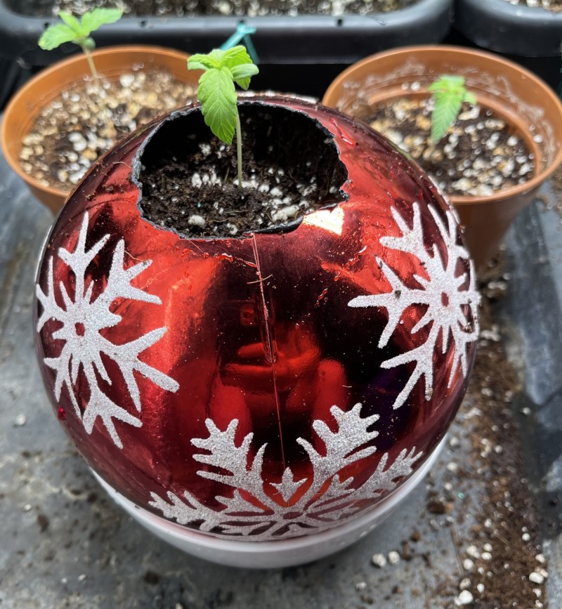 5091AF6D-3109-471B-88E0-66E5C24732F7