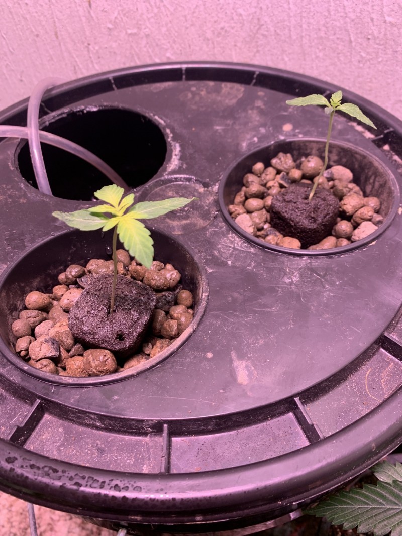 0B8205C3-A4BE-461B-9B5A-48BFF45126D6