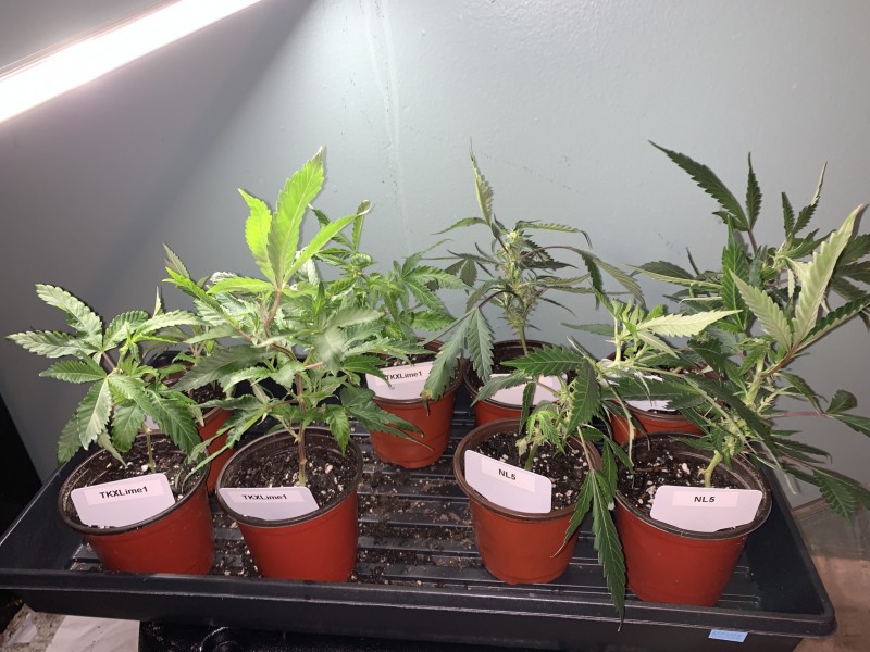 747113A9-27E5-4DFF-A8A4-AD6F42DFCBFD