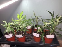 747113A9-27E5-4DFF-A8A4-AD6F42DFCBFD