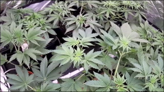 027BDACC-682B-44AA-B5A9-C83E132171DD