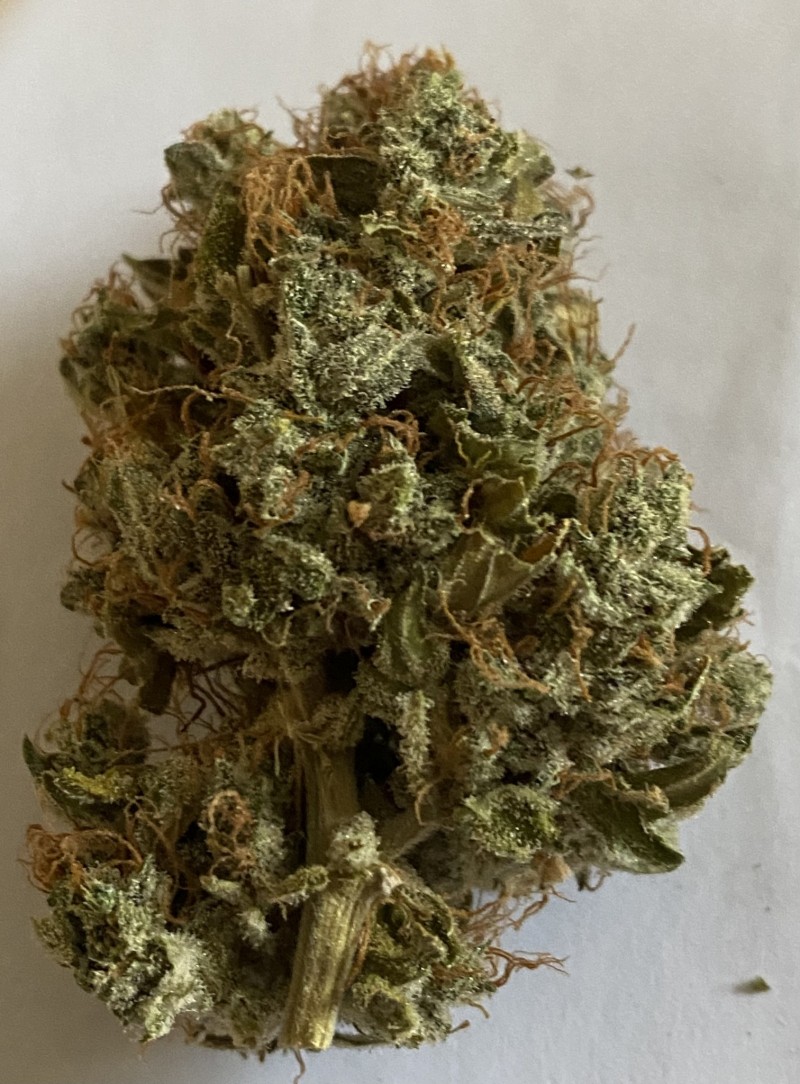 B7C1FECD-FBA5-4F22-8EEE-CF6E179C9DA5