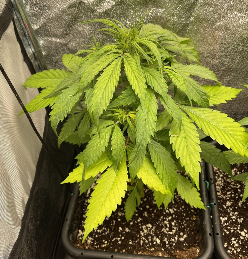 04157291-D551-4F96-9A21-BBEF03C0114C