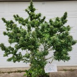 16644839749368550426217208837968