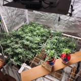 16644871064545615720519721996051