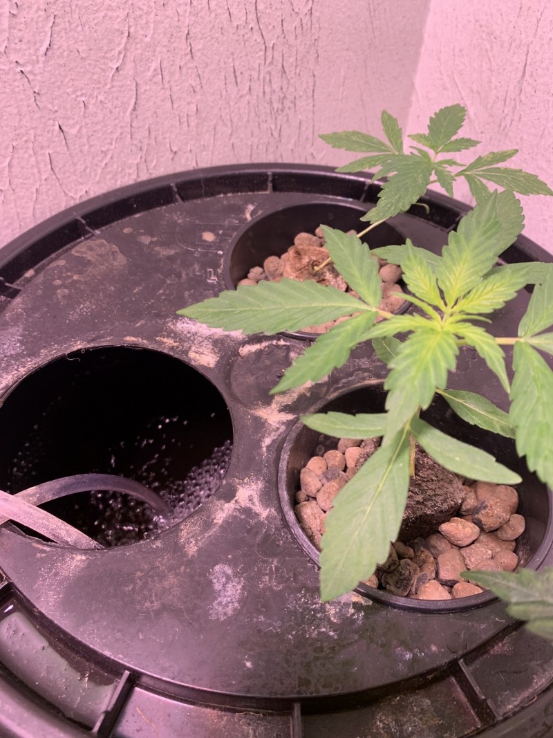 2DFC8B2A-88AE-4B7C-B3D6-FCE6C0926351