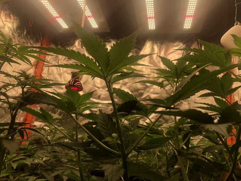 8F425AD8-8E81-4722-857A-3129A2BD6F0D