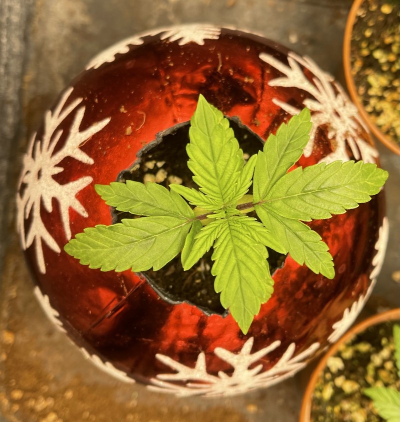 45AAFC4E-3B48-4EE2-8FA4-BDBF1F72A5E7