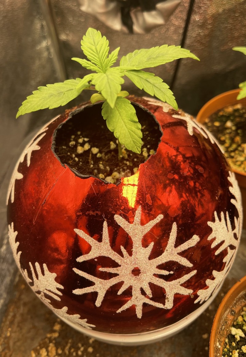 4C3E1EF7-6041-47D2-B36D-E6B205D2BEE8