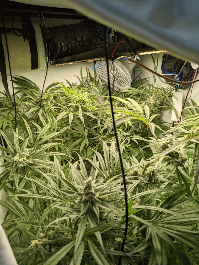 PXL_20221003_165353769