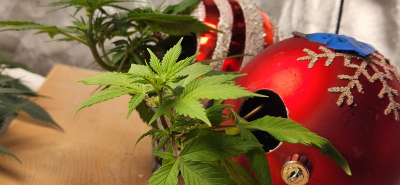 16648346237664899611406454396995