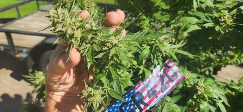 1664907359056994295930649895501