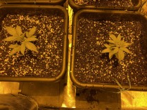 5684DF96-379A-4FB7-86A2-94074AC872B8