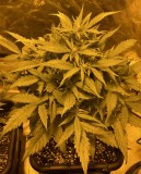 AF7F78ED-9846-4B56-A0B2-E4FF42F4DE5C