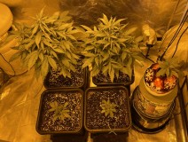 C886A49F-E266-4E55-A712-B74D3A887592