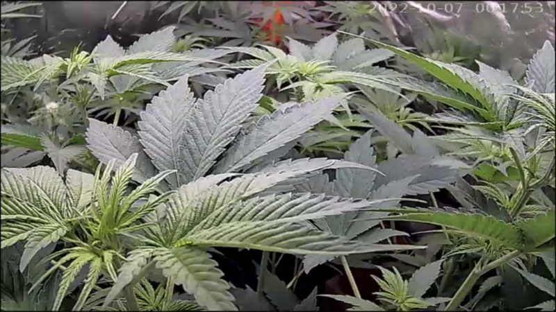 92BCE284-89D3-4E0C-990A-3BC935694786