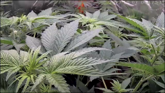 92BCE284-89D3-4E0C-990A-3BC935694786