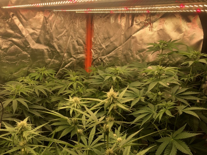 E22F95BA-9794-46E5-8A97-12D72D407ACE