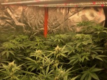 E22F95BA-9794-46E5-8A97-12D72D407ACE