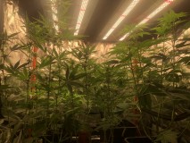 CCD4A6E6-A0BC-4833-A4F6-11560ABEA5EC