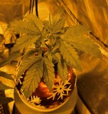 C6653ACA-94B2-4222-91E1-D71DBE74C6DE