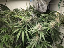 PXL_20221011_170502292