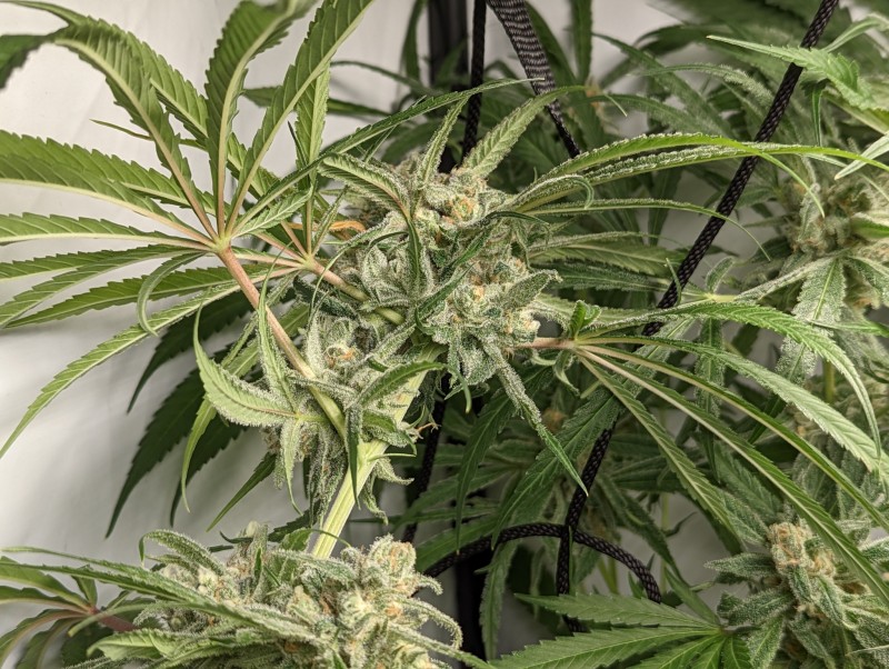 PXL_20221011_170523993