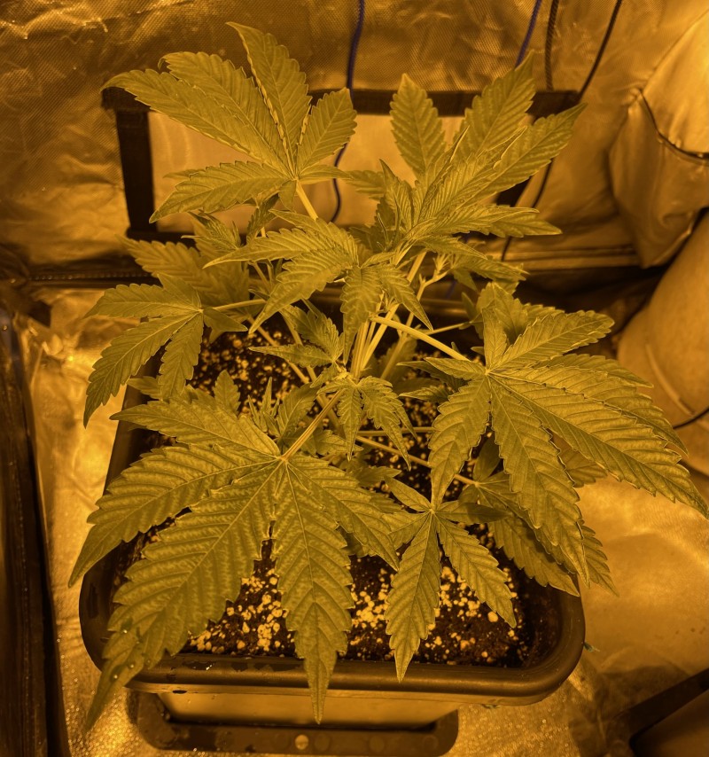 1C617922-B6EB-475C-9F13-662A9287F8C5