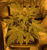 1C617922-B6EB-475C-9F13-662A9287F8C5