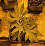 115208B2-8C29-4FCB-A0CB-408071DA6BA3