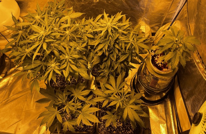 4D4EEF0E-3AD7-45B8-BC50-2E8C6BD771BF