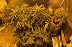 4D4EEF0E-3AD7-45B8-BC50-2E8C6BD771BF